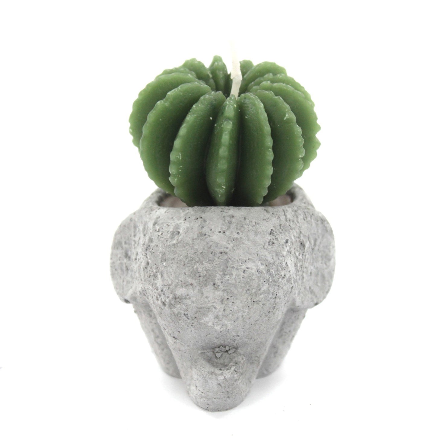 Bougies Cactus - Pots Animaux (asst) sur Présentoir