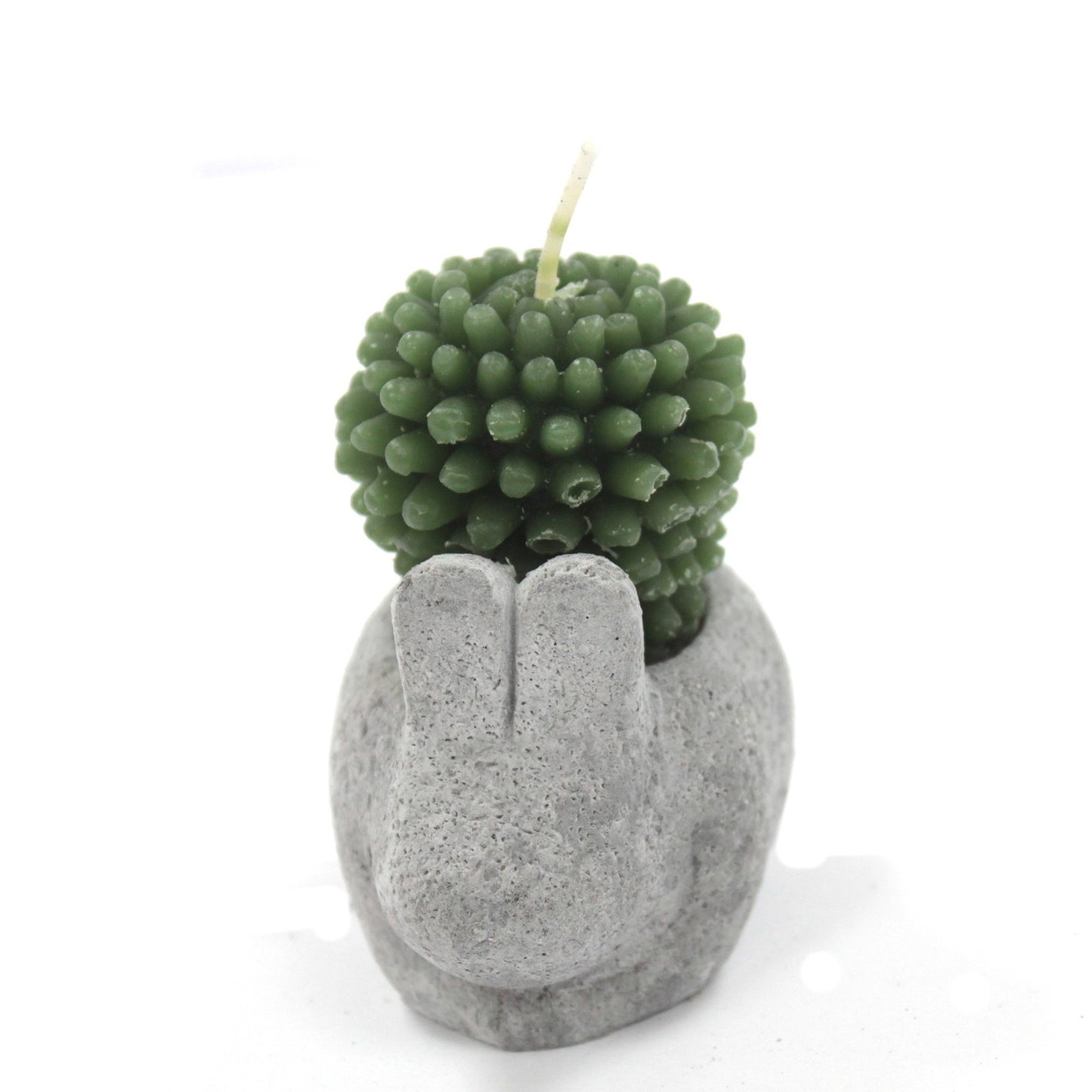 Bougies Cactus - Pots Animaux (asst) sur Présentoir