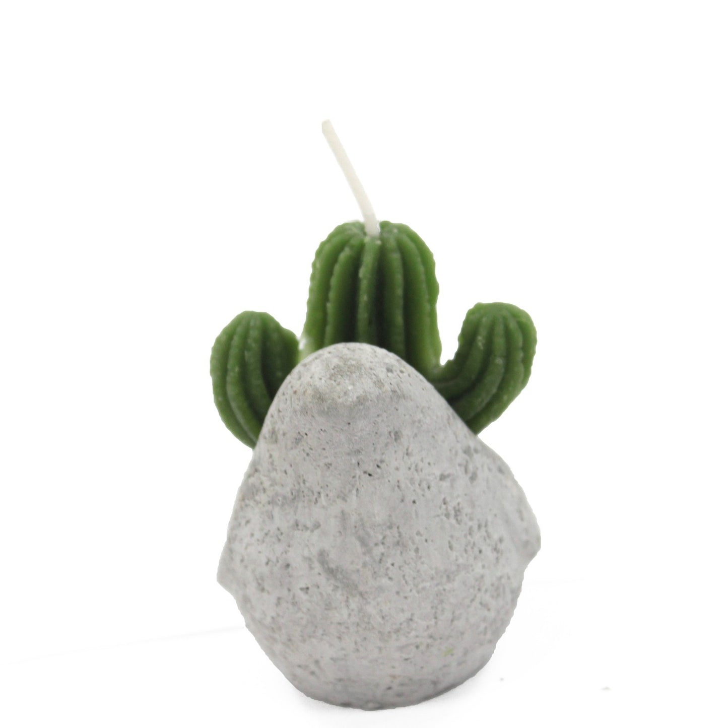 Bougies Cactus - Pots Animaux (asst) sur Présentoir