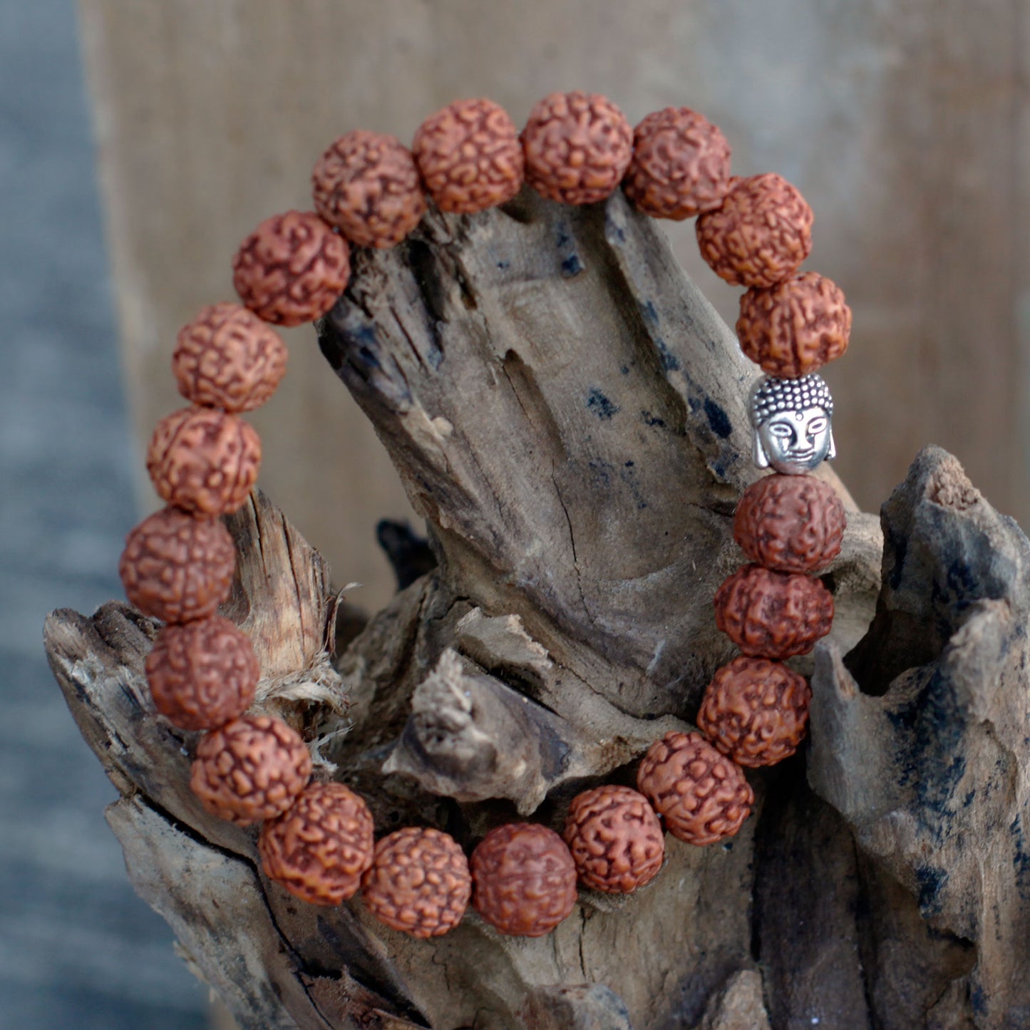 Mala Rudraksha Bracelet Bouddha-Naturel