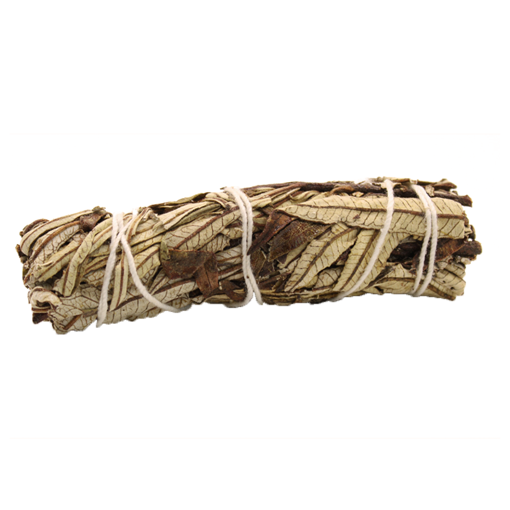 Fagot Sauge Bâton - Yerba Santa 10cm