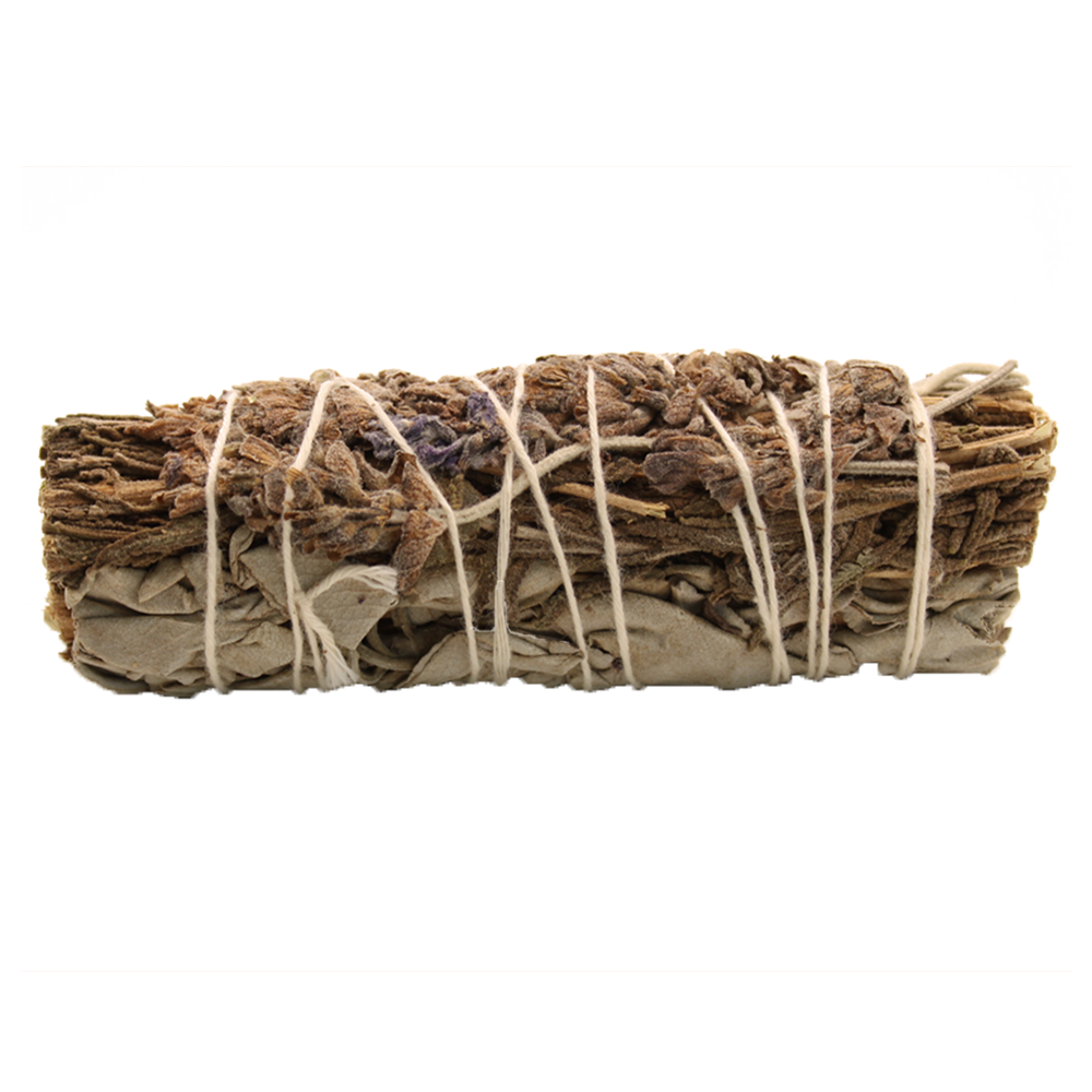 Sauge Bâton - Blanche & Eucalyptus 10 cm