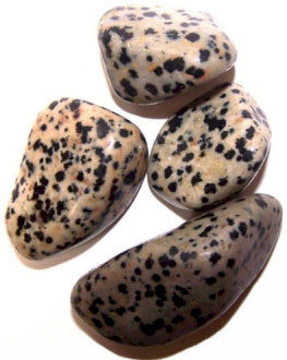 Pierres Roulées Moyennes - Jaspe Dalmatien