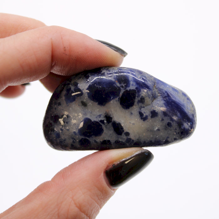 Pierres roulées Africaines moyennes - Sodalite - Bleu pur