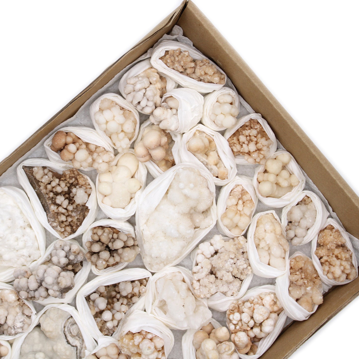 Spécimens Minéraux - Fleur de Calcite (environ 20 pièces)