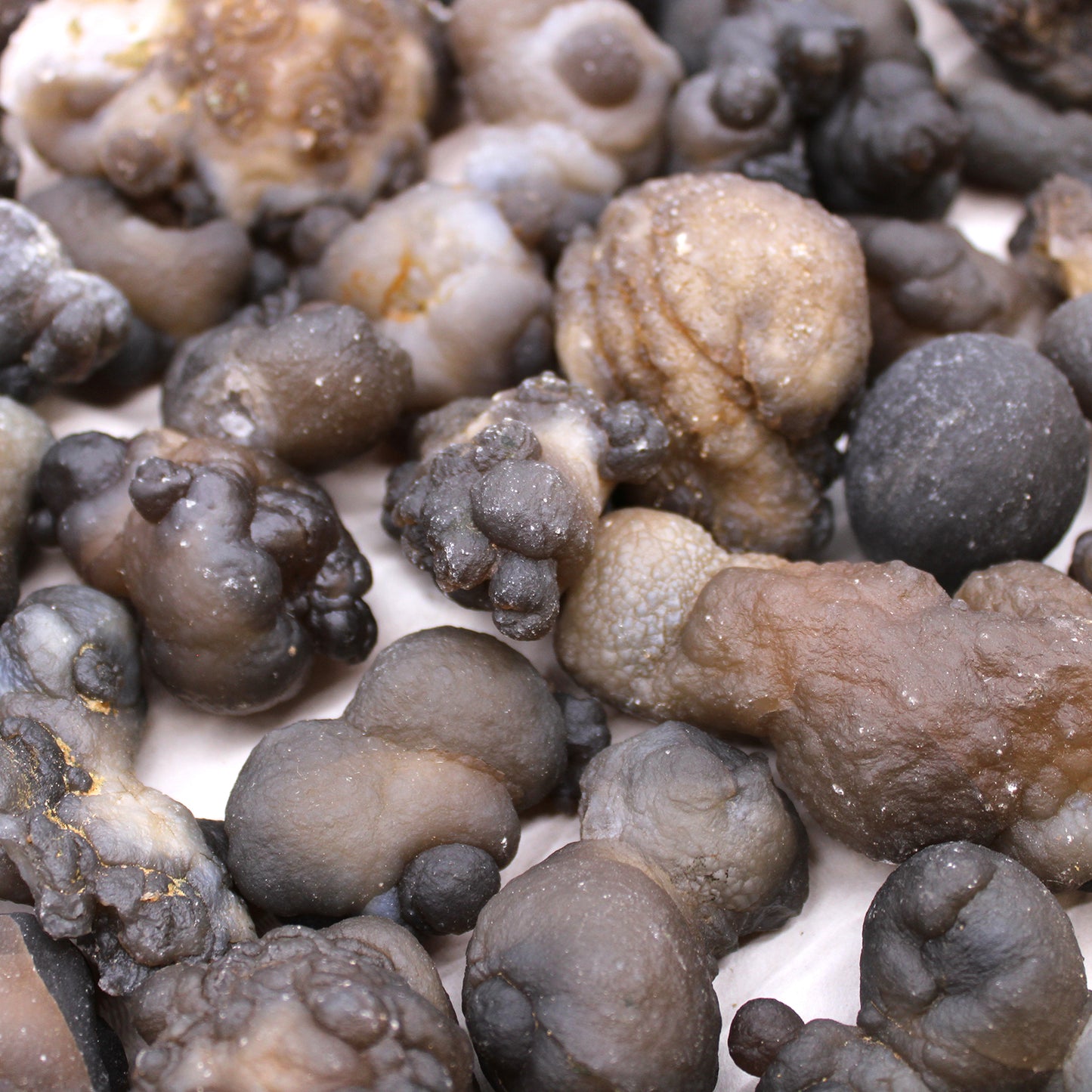 Échantillons minéraux - Calsidone (environ 100 pièces)