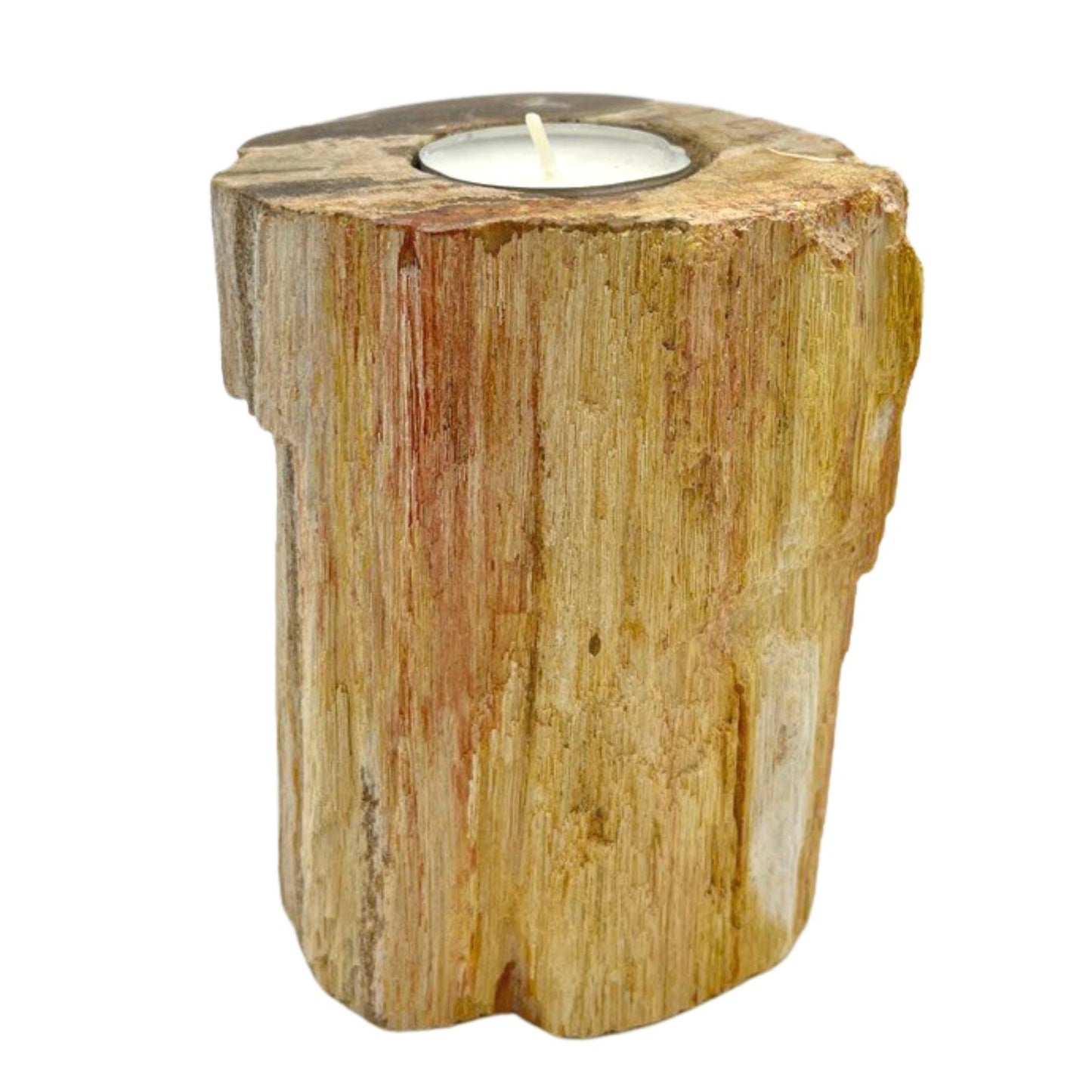 Bougeoir en bois pétrifié - Hauteur simple