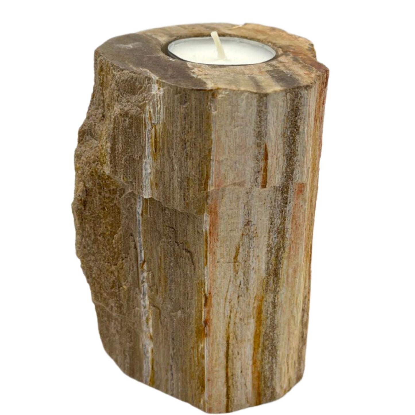 Bougeoir en bois pétrifié - Hauteur simple