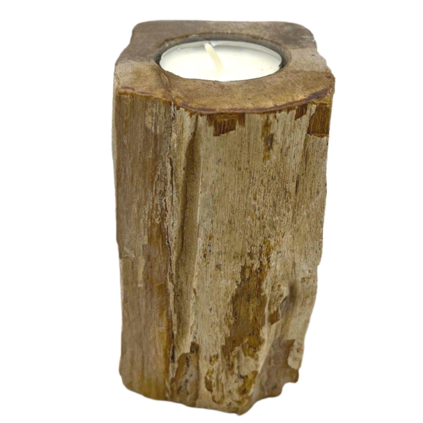 Bougeoir en bois pétrifié - Hauteur simple
