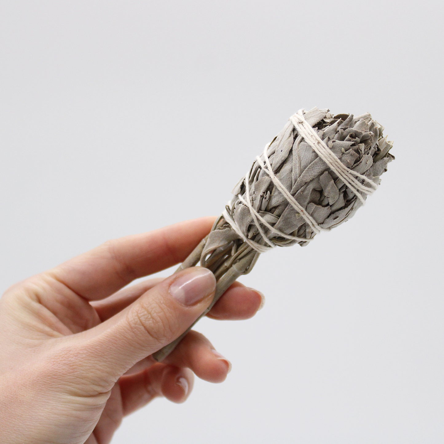 Smudge Stick - Mini Torche Sauge Blanche 10cm