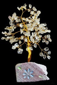 Arbres à gemme d'Inde Cristal de roche - 160 Pierres