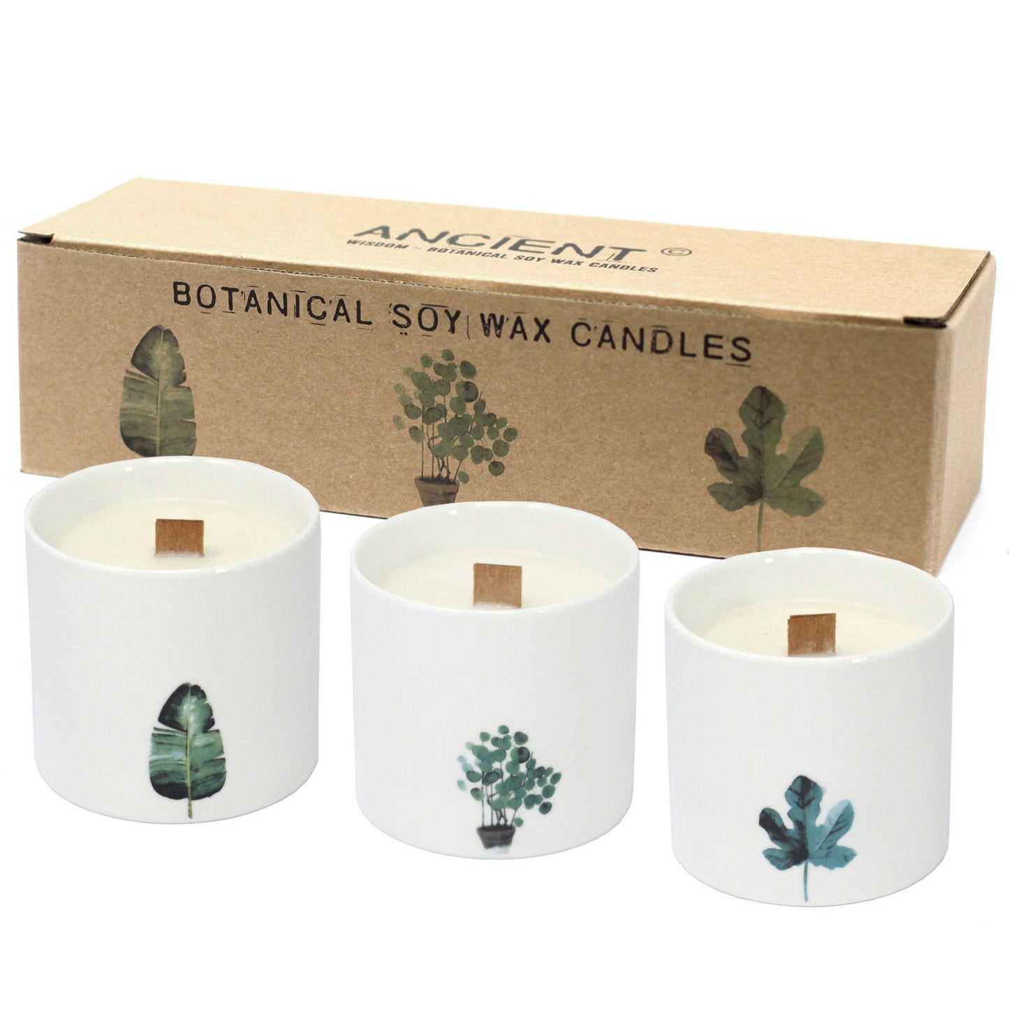 Bougies Botaniques - Large - Jasmin Sauvage