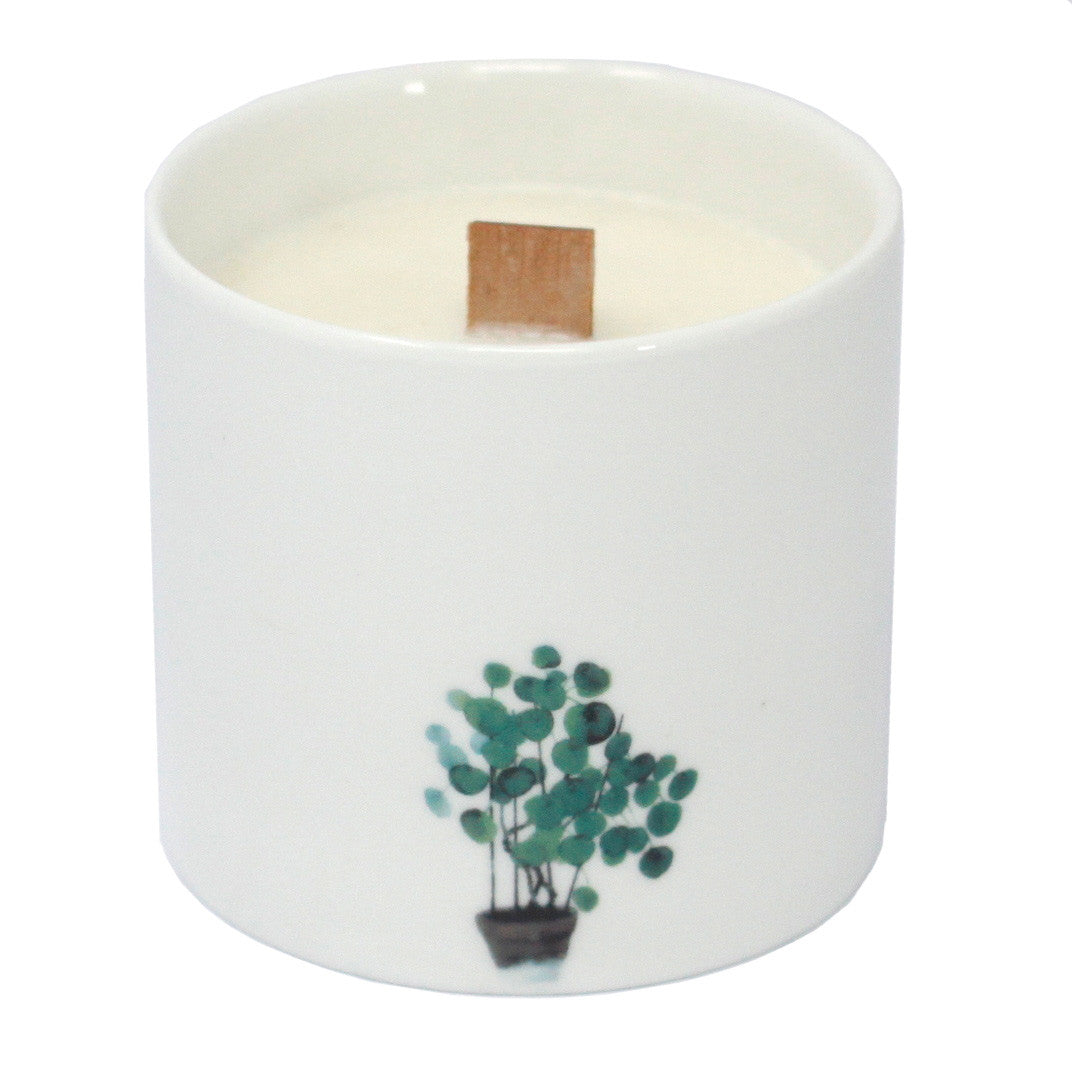 Bougies Botaniques - Large - Jasmin Sauvage