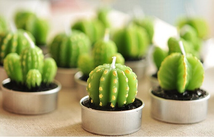 Lot de 6 Bougies Cactus Agave