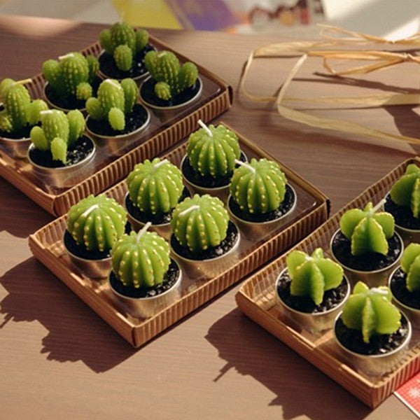 Lot de 6 Bougies Cactus Agave