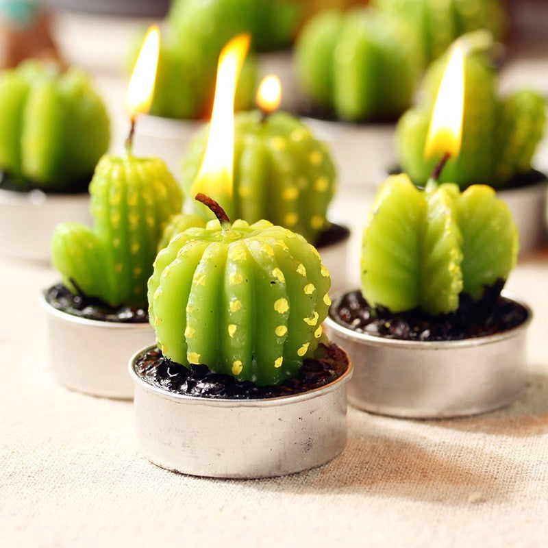 Lot de 6 Bougies Cactus Agave