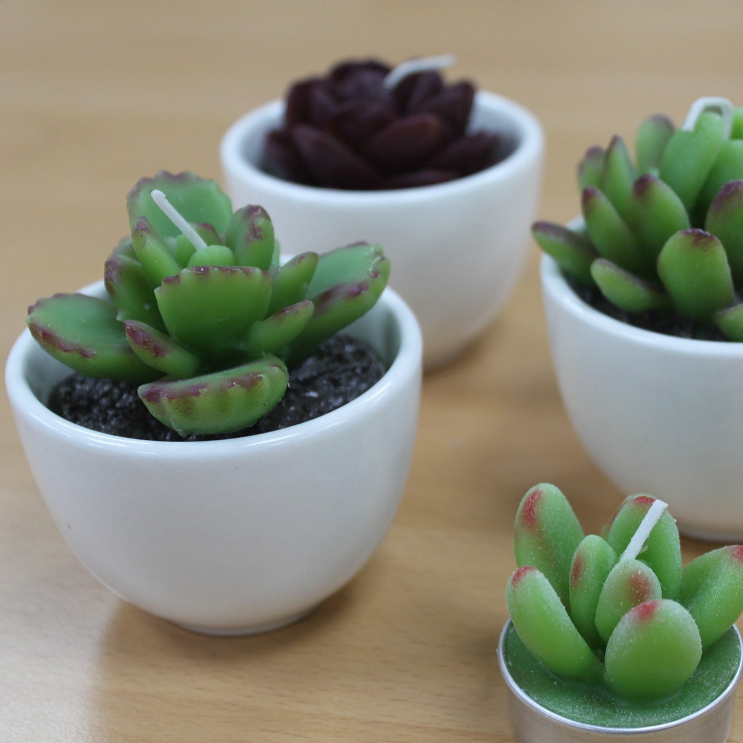 Bougie Cactus dans Large Pot