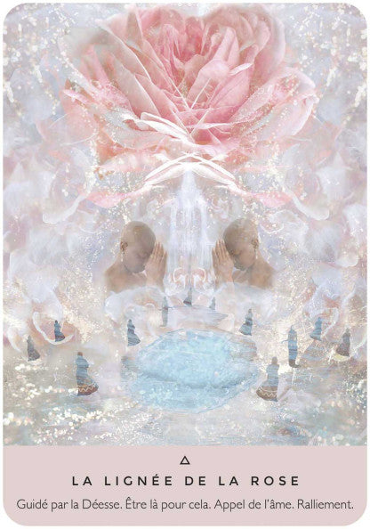 Oracle de la Rose - Cartes Divinatoires