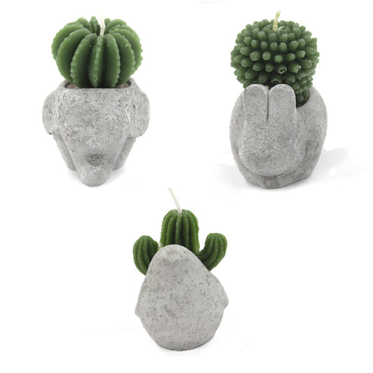 Bougies Cactus - Pots Animaux (asst) sur Présentoir