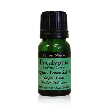 Eucalyptus - Huile Essentielle Bio 10ml
