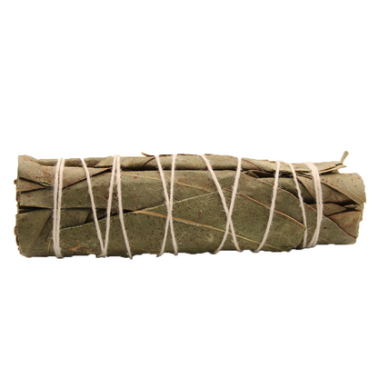 Bâton Smudge - Eucalyptus Sage 10cm