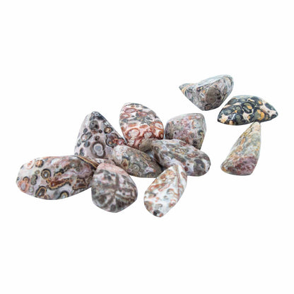Tumble Stone - Peau de Léopard M