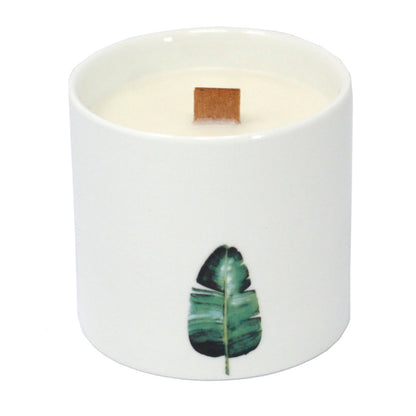 Bougies Botaniques - Large  - Jasmin Sauvage