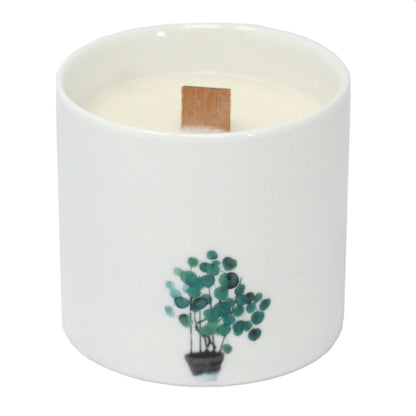 Bougies Botaniques - Large  - Jasmin Sauvage