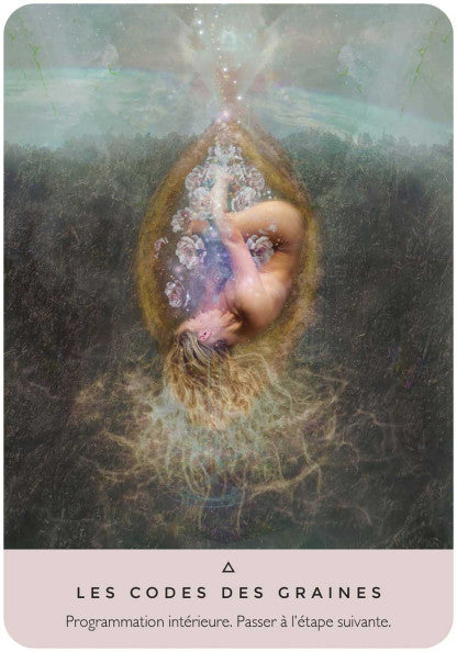 Oracle de la Rose - Cartes Divinatoires